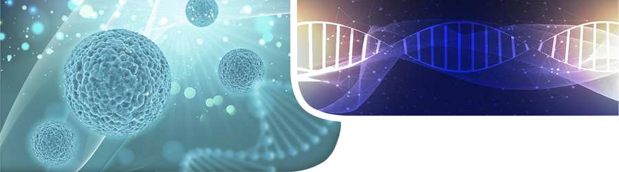 Genética y Genómica